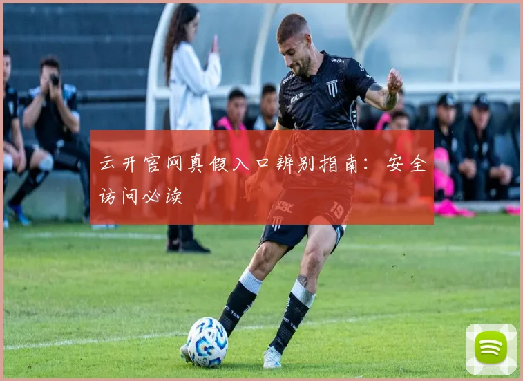云开官网真假入口辨别指南：安全访问必读