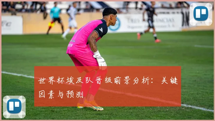 世界杯埃及队晋级前景分析：关键因素与预测